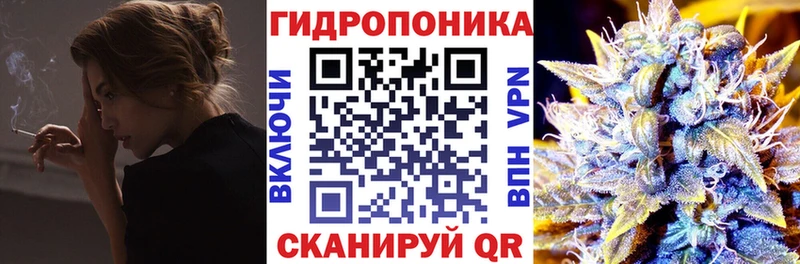 МАРИХУАНА сатива  Алексеевка 